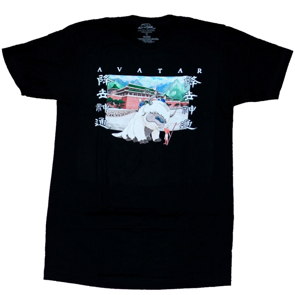 Avatar The Last Airbender Mens T-Shirt - Avatar Riding Appa Image